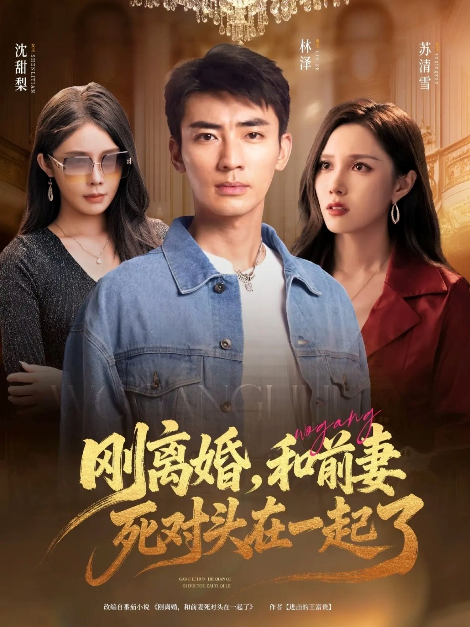 刚离婚和前妻死对头在一起海报