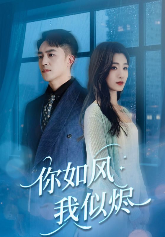 你如风我似烬海报