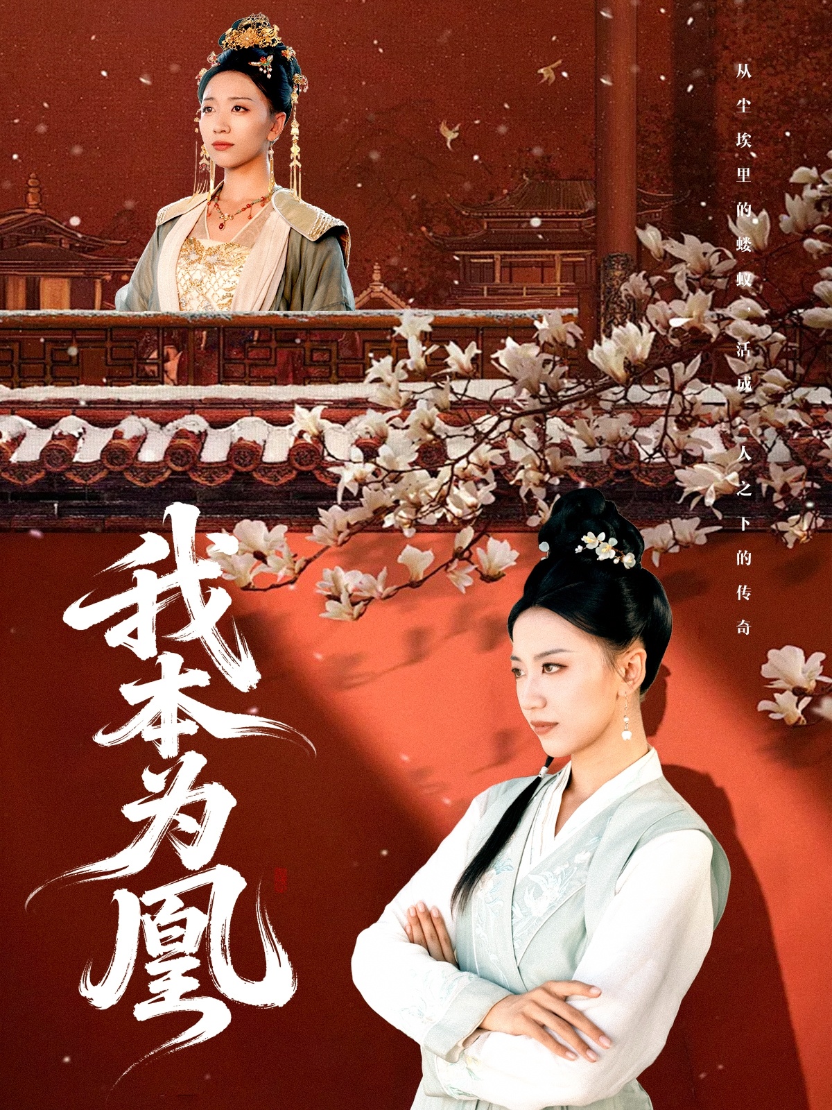 我本为凰海报