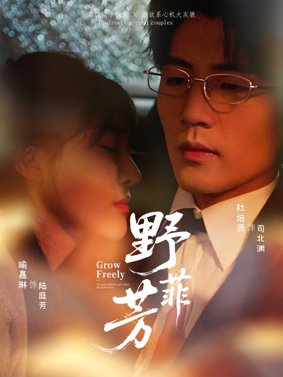 野芳菲海报
