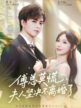 傅总莫慌夫人坚决不离婚了海报