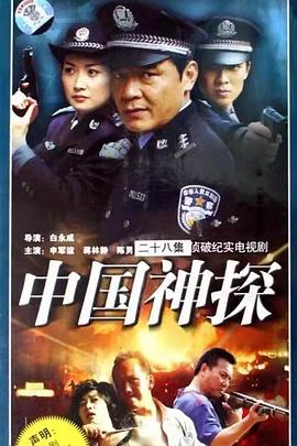 中国神探[电影解说]海报