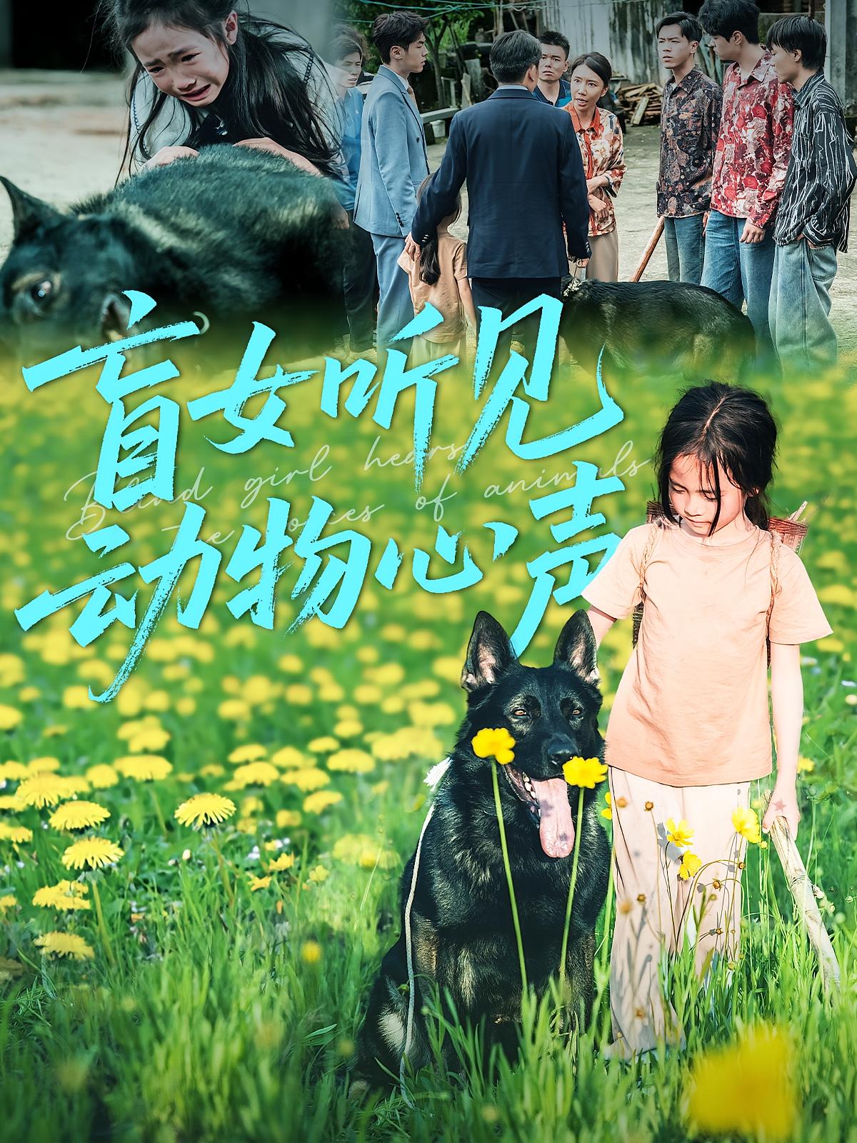盲女听见动物心声海报