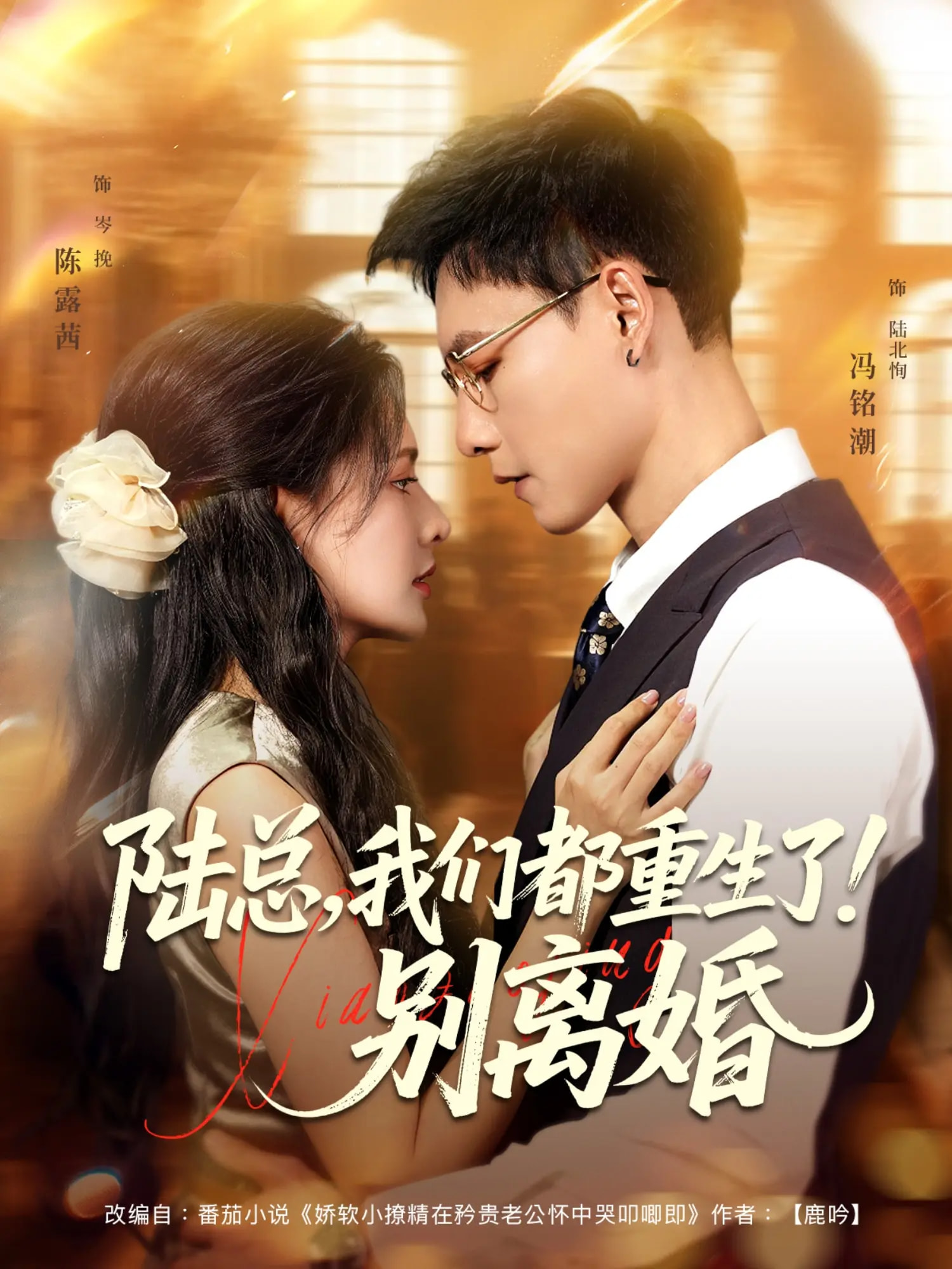 陆总我们都重生了别离婚海报