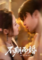 不期而婚海报