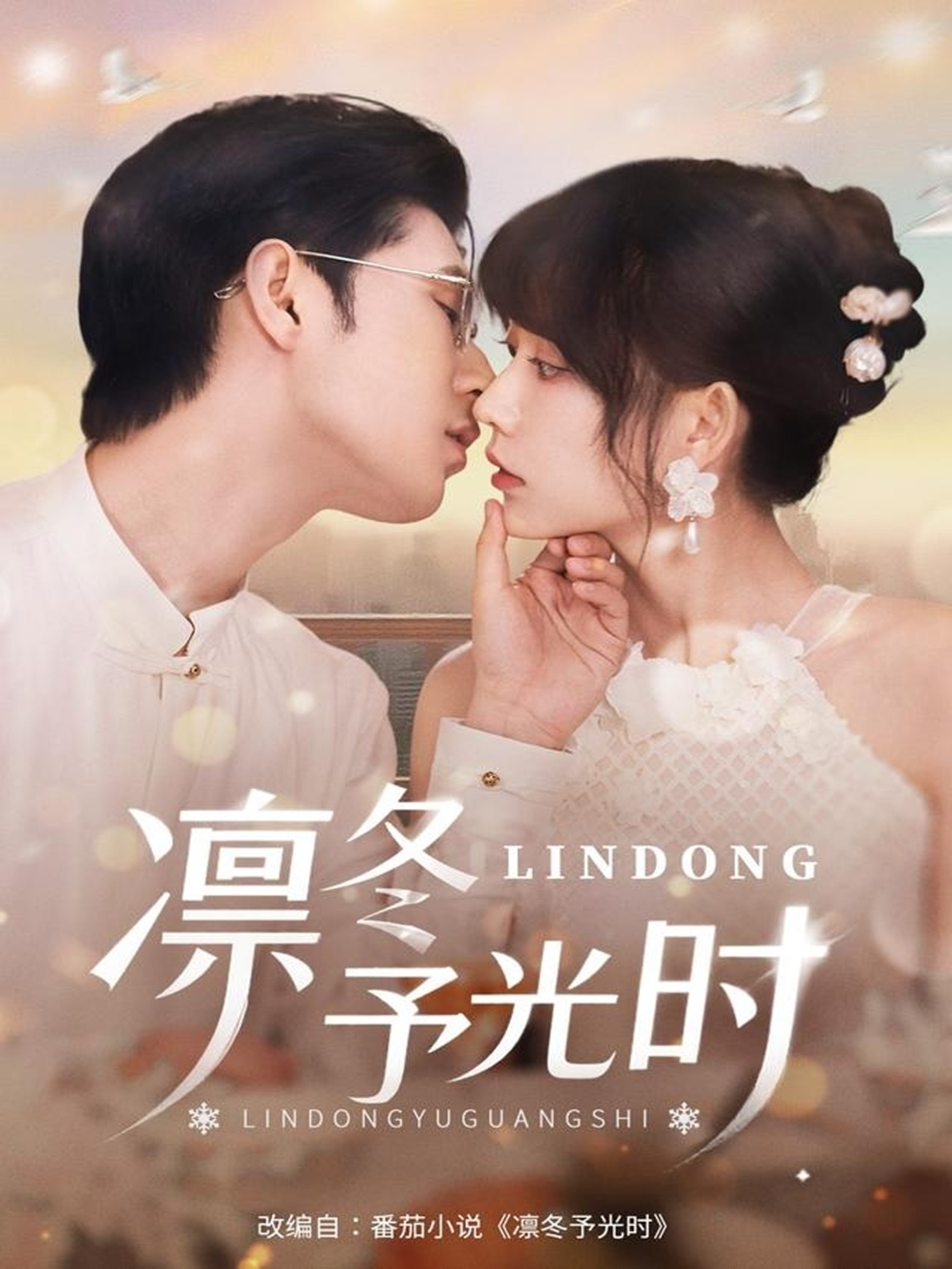 凛冬予光时海报