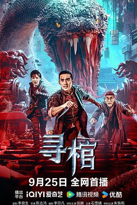 寻棺海报