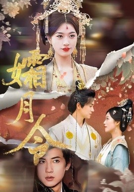 孀月令海报