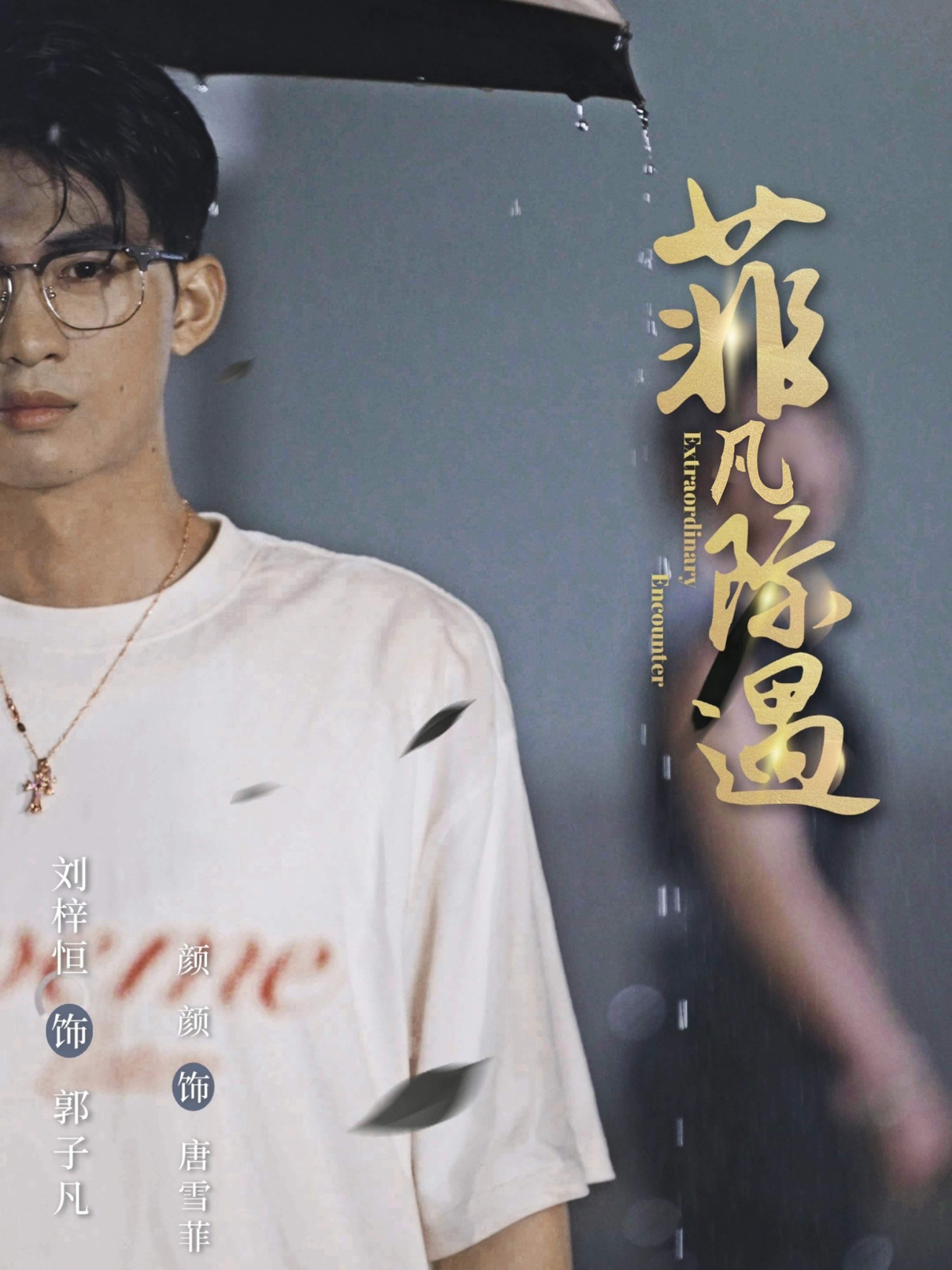 菲凡际遇海报