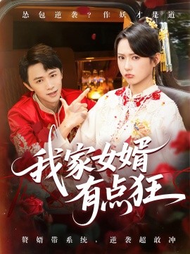 我家女婿有点狂海报