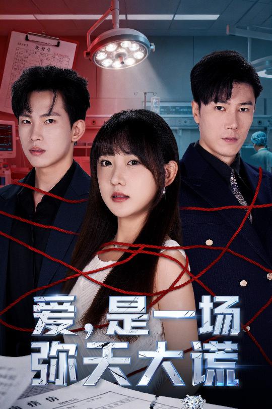 爱是一场弥天大谎海报