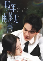 那年雨落无声海报