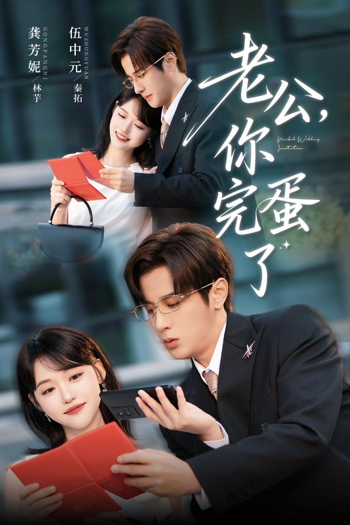 老公你完蛋了海报