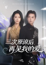 三次原谅后再见我的爱海报