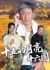十五的月亮十六圆海报
