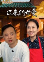 迟来的母爱海报