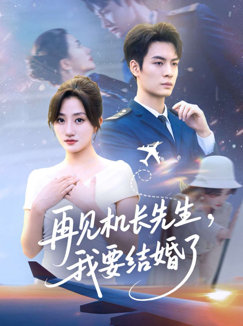 再见机长先生我要结婚了海报