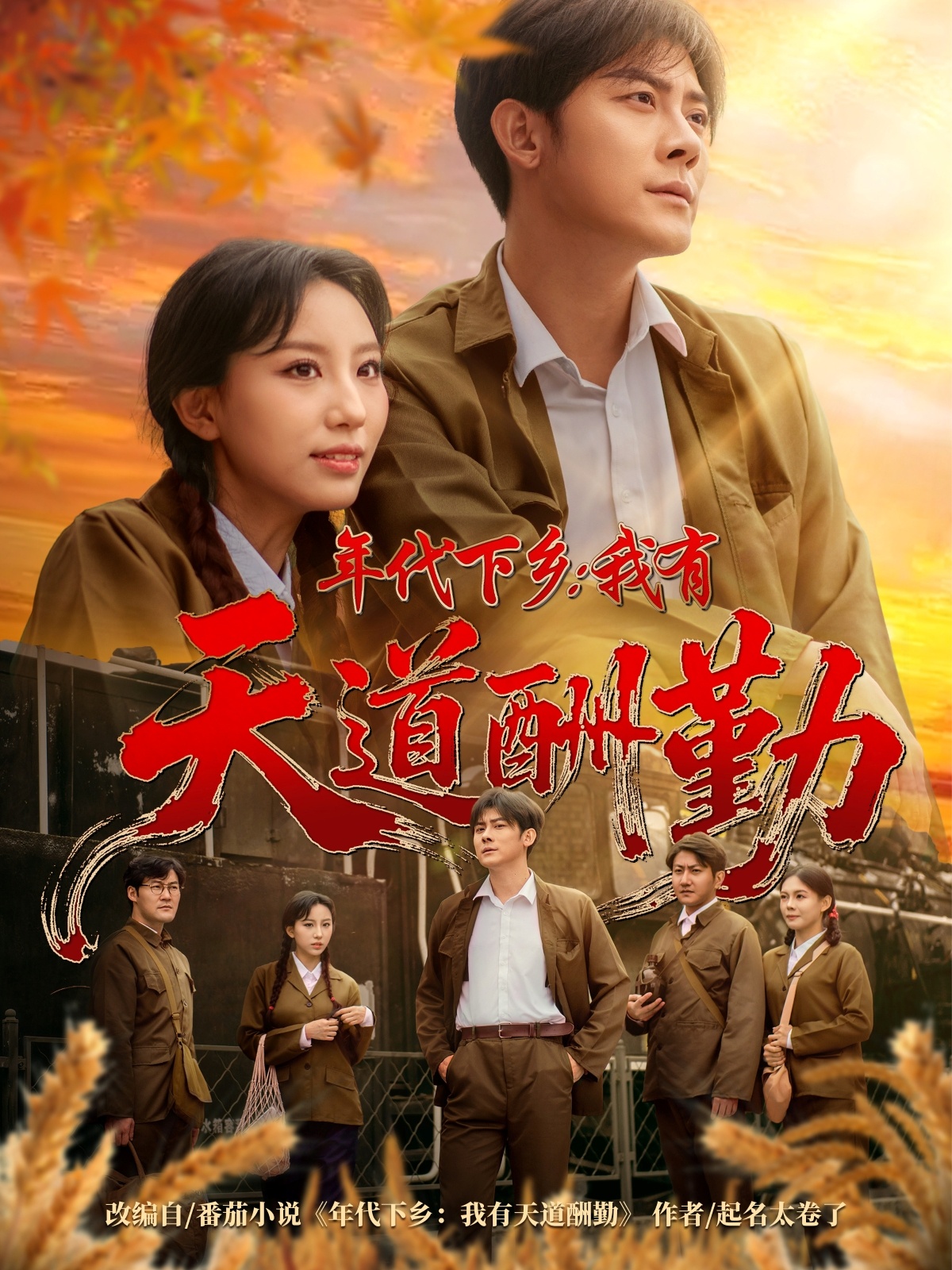 年代下乡我有天道酬勤海报