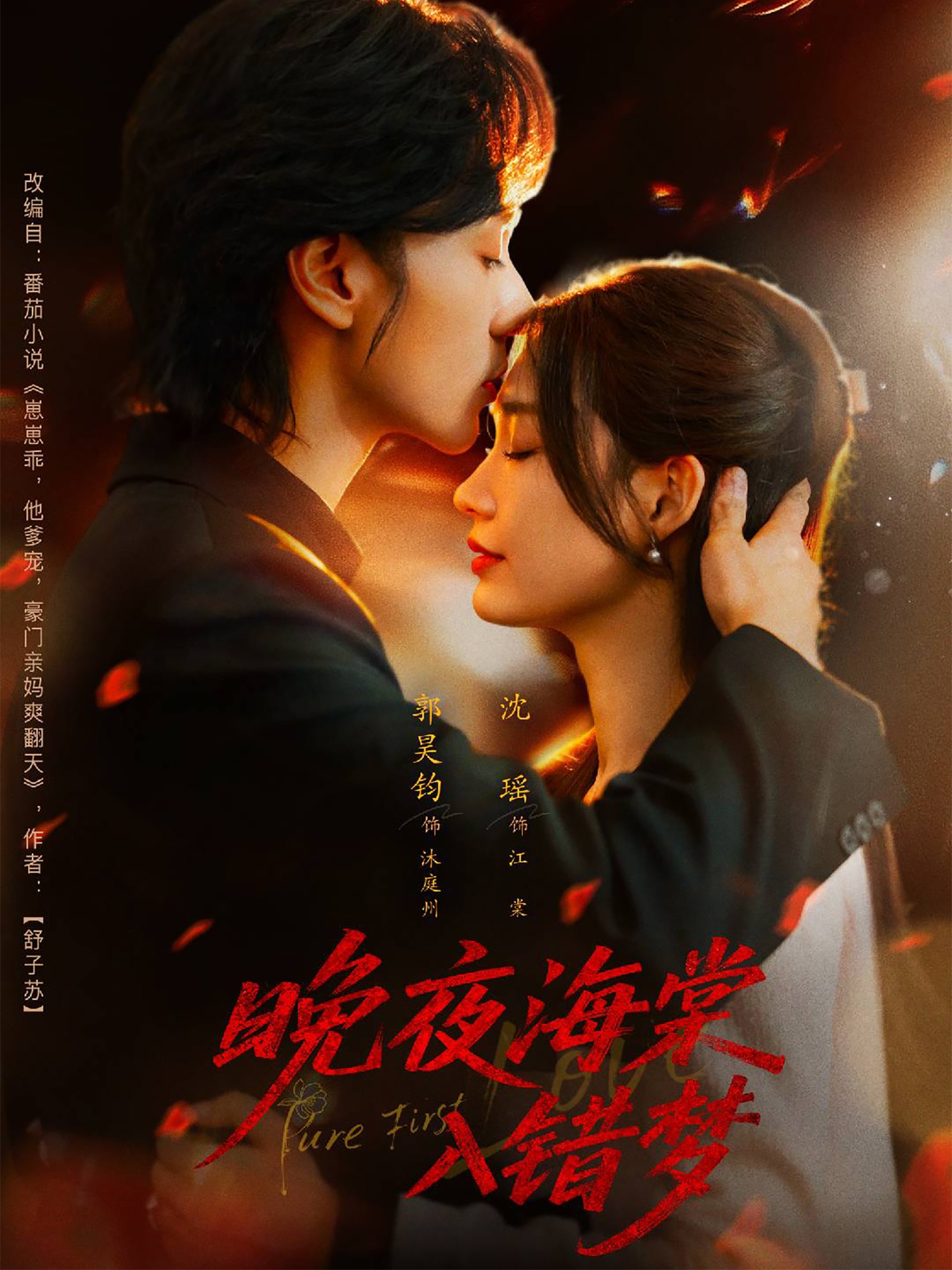 晚夜海棠入错梦海报
