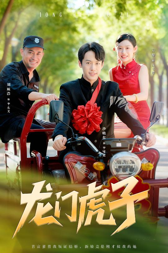 龙门虎子海报