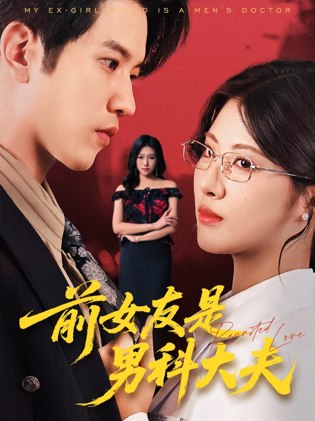 前女友是男科大夫海报