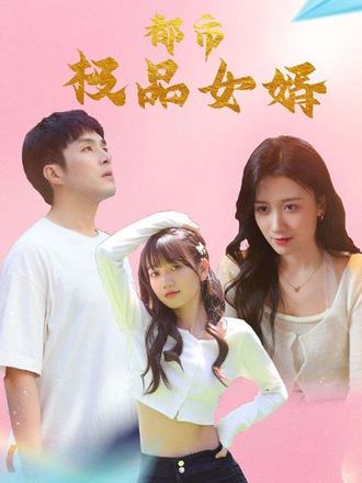 都市极品女婿海报