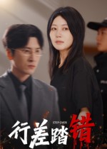行差踏错海报