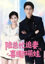 陆总忙追妻喜提四萌娃海报
