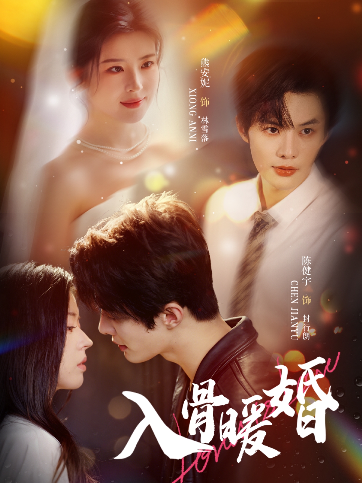 入骨暖婚海报