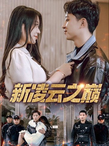 新凌云之巅海报