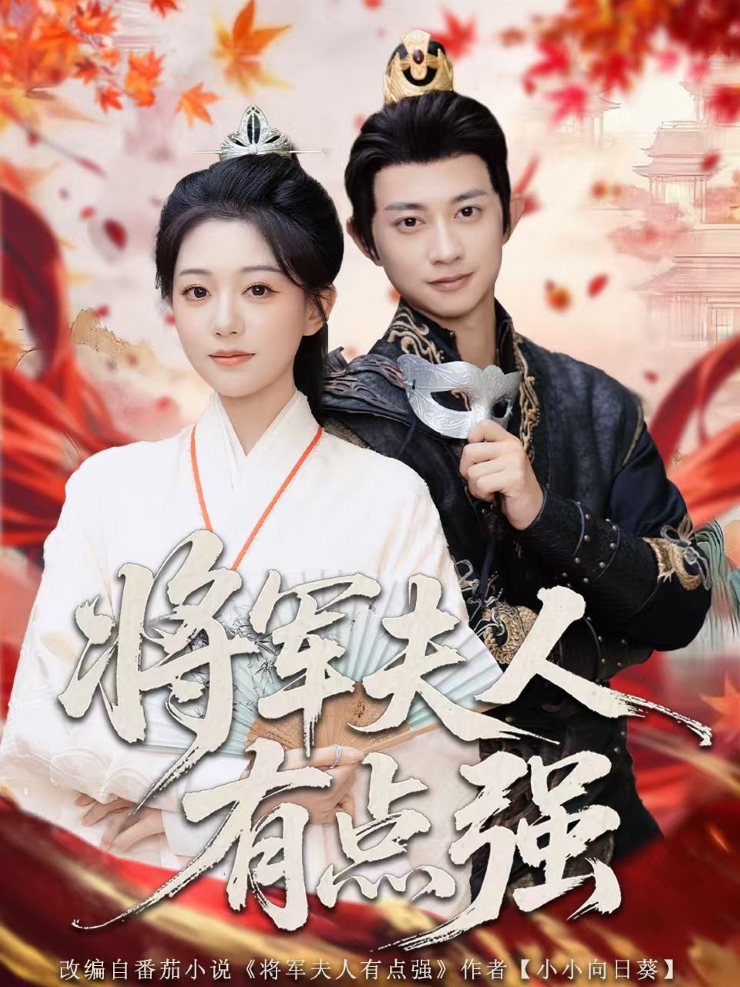 将军夫人有点强海报
