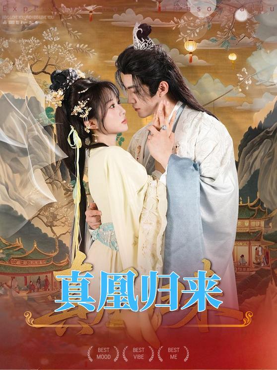 真凰归来海报