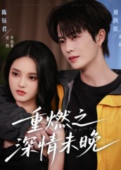 重燃之深情未晚海报