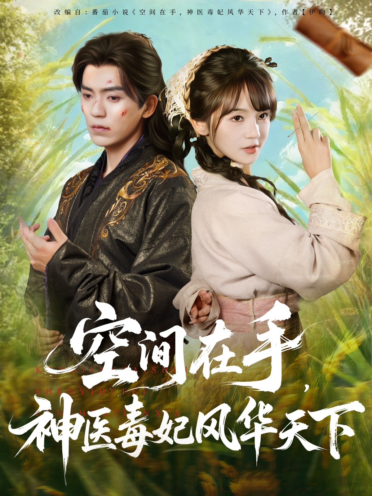 空间在手，神医毒妃风华天下海报