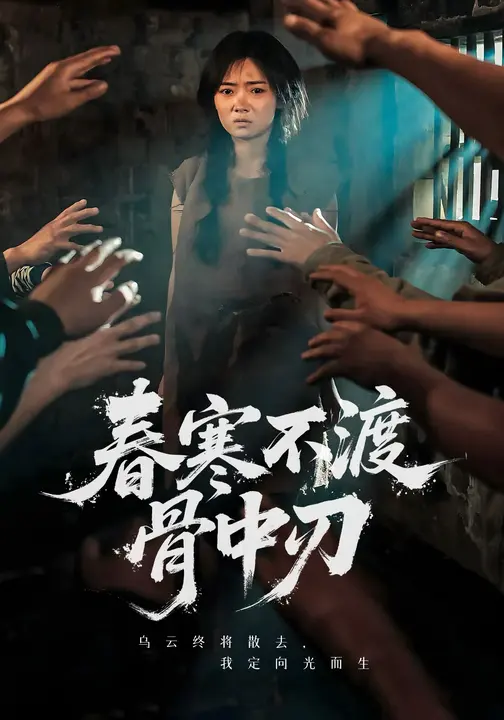 春寒不渡骨中刃海报
