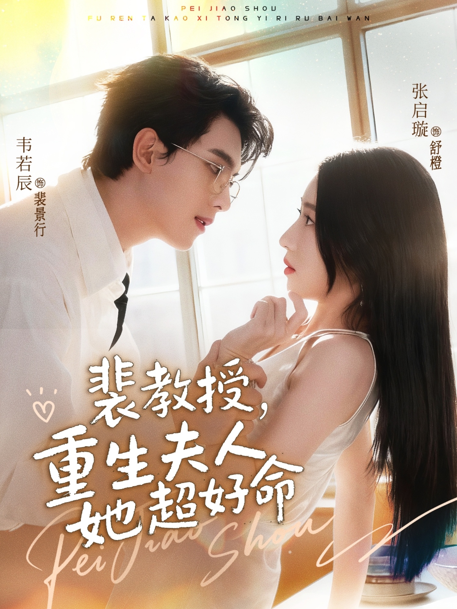 裴教授，重生夫人她超好命海报