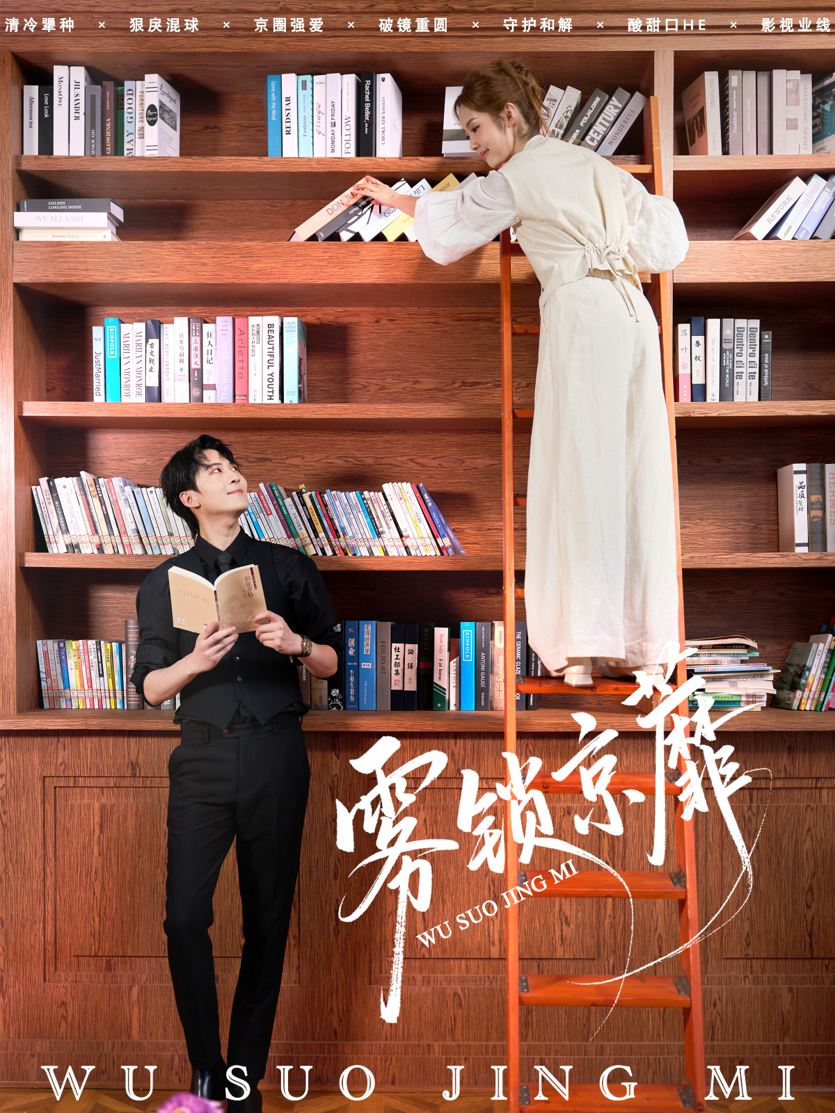雾锁京蘼海报