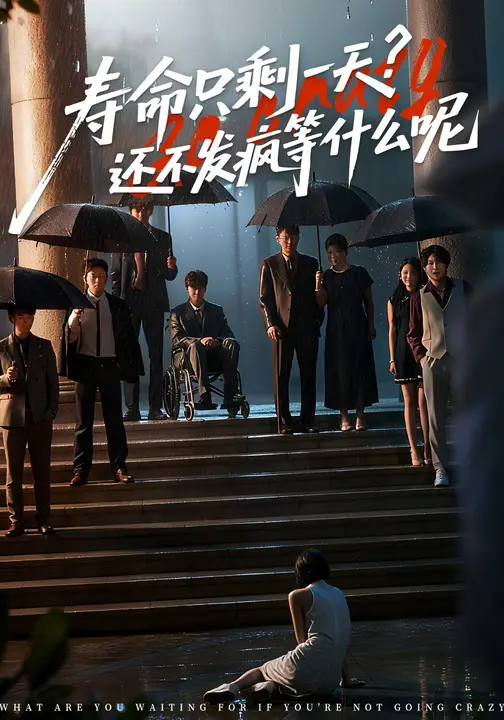 寿命只剩一天，还不发疯等什么呢海报