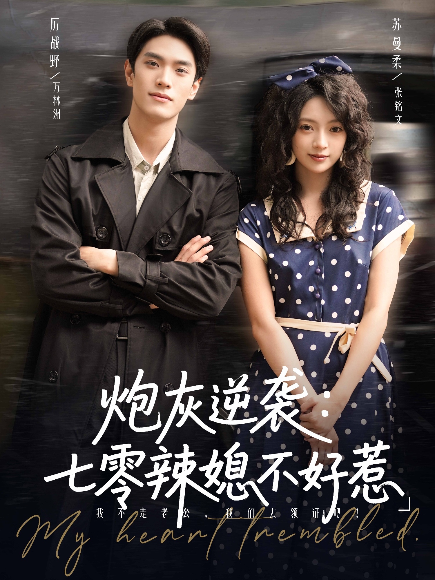 炮灰逆袭七零辣媳不好惹海报