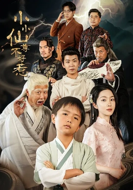 小小仙尊不好惹海报