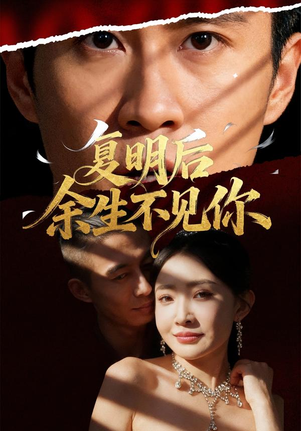 复明后余生不见你海报