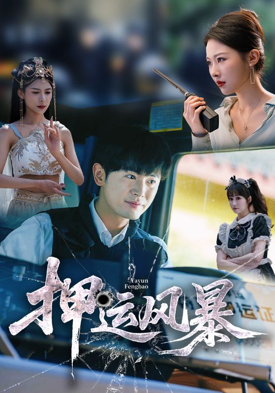 押运风暴海报
