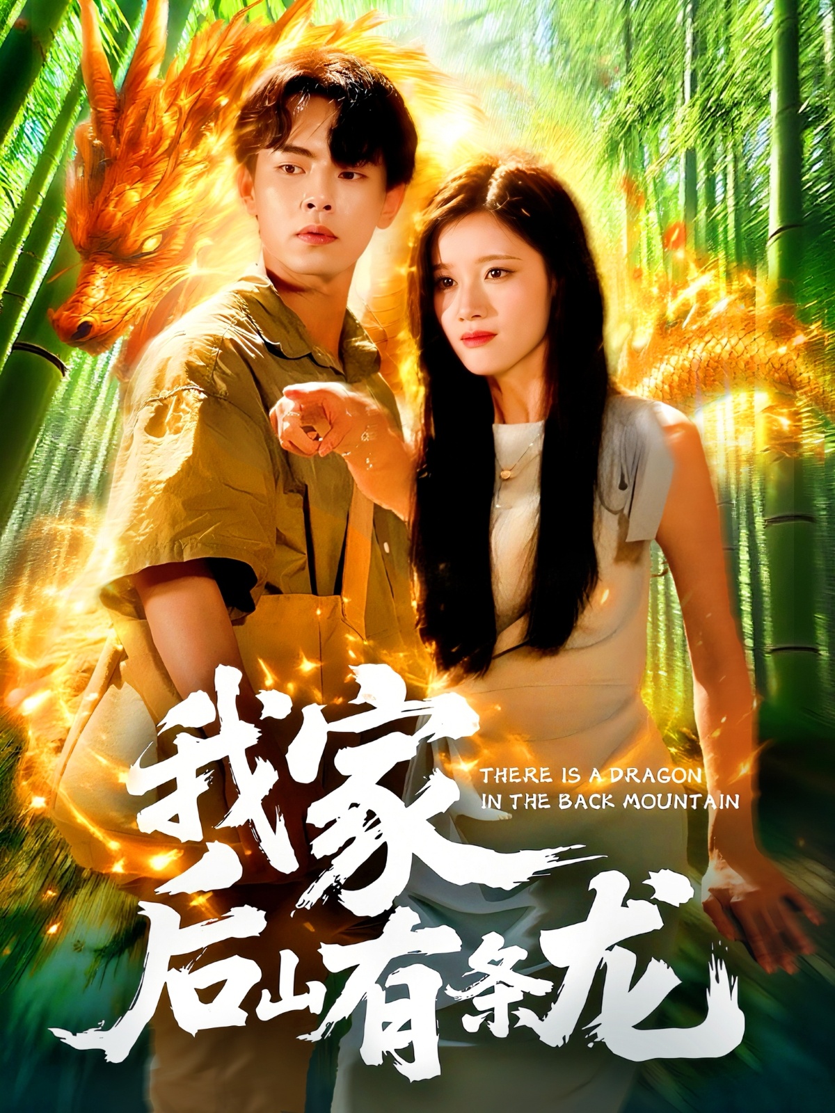 我家后山有条龙海报