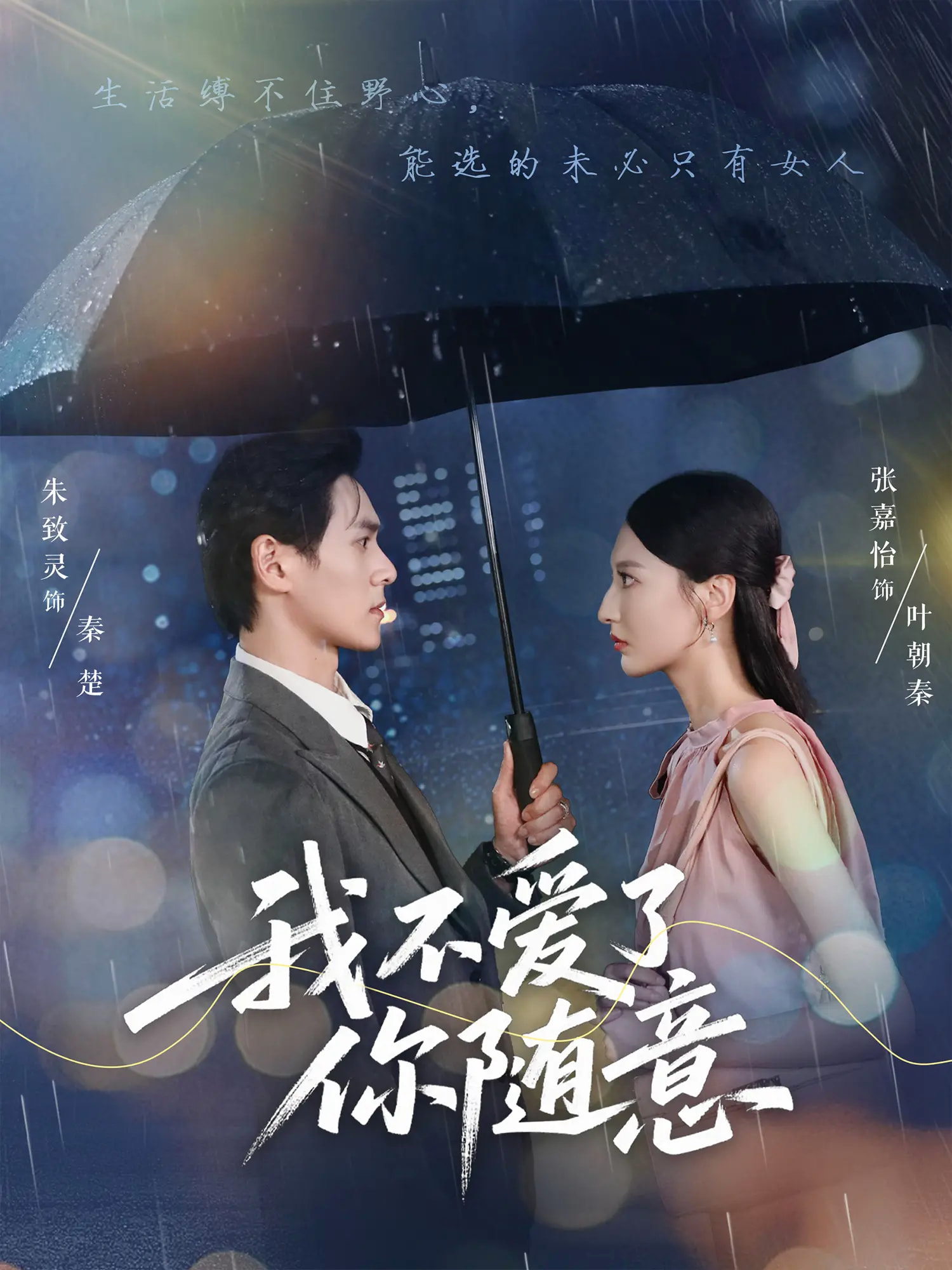 我不爱了你随意海报