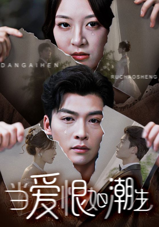 当爱恨如潮生海报