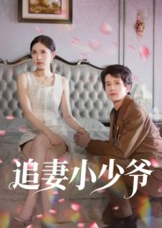 追妻小少爷海报