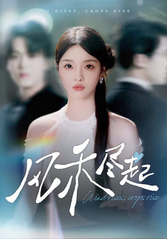 风禾尽起海报