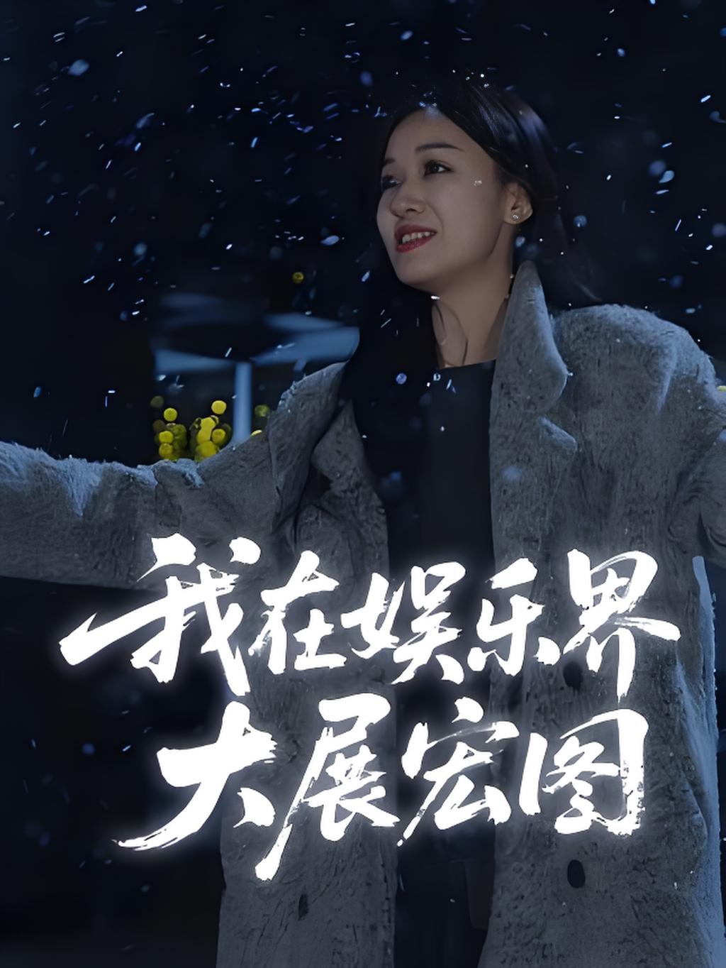 我在娱乐界大展宏图海报