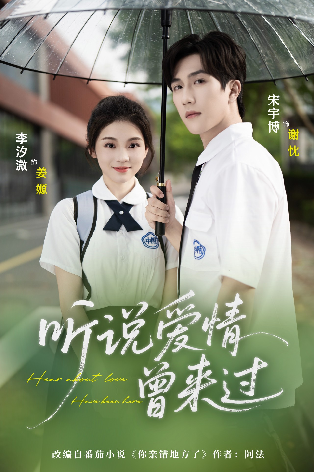 听说爱情曾来过海报