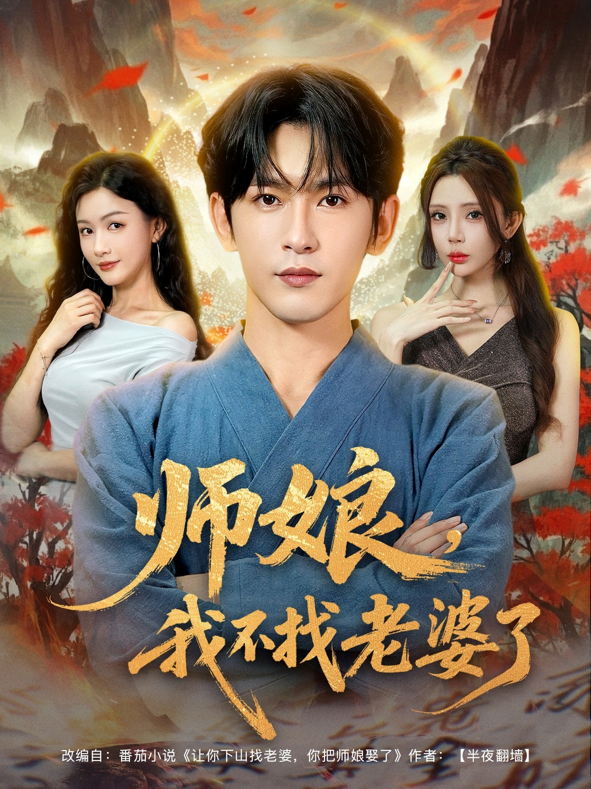 师娘我不找老婆了海报